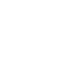 Brain Logo